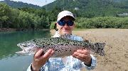 Nic and Co, Rainbow trout June L, Slovenia fly fishing